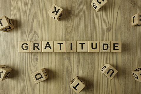 Finding Gratitude